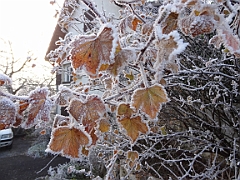 2013-12 France (Besançon)